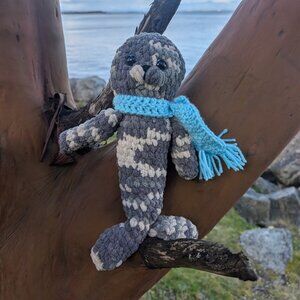 Cuddly Salish Sea Sea lion